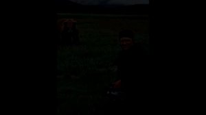 DEVORADO:  El audio de Timothy Treadwell