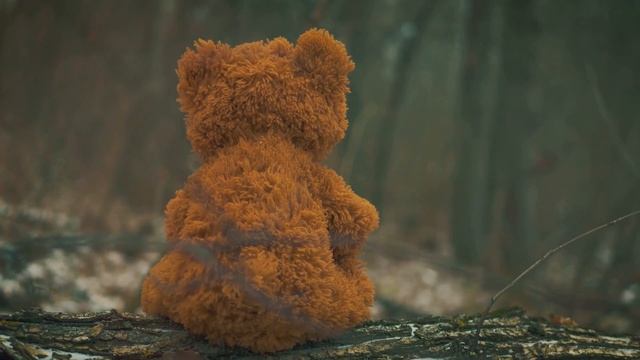 🐻Spiritual Meaning Of Bear Dream | Bear Dreams And Their Meanings | Dreaming Of Bear Interpretation