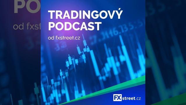 Investování do akcií: Základy fundamentální analýzy akcií díl 8.