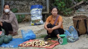 Harvesting bamboo shoots to sell at the market, Buy dog food, fix water -- Farm life l Lý Thị Sai