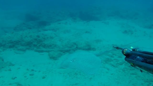 07 11 2015 spearfishing смотреть онлайн