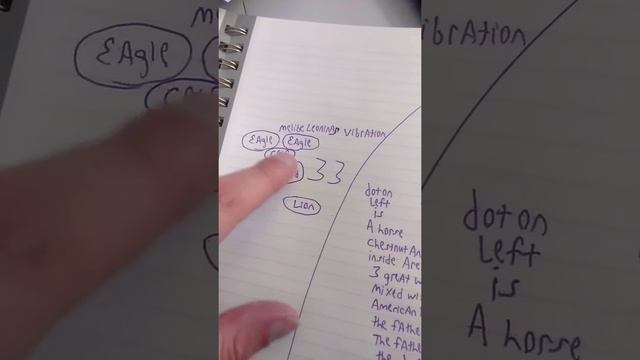 The 33 explained in depth with a look at vibration. Melibe leoninas смотреть онлайн