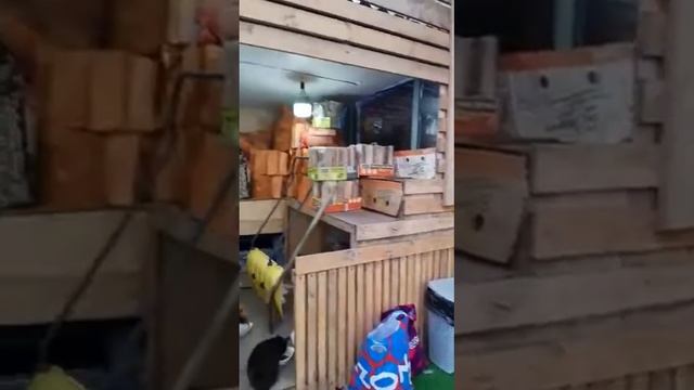 VID 20230121 WA0147 смотреть онлайн