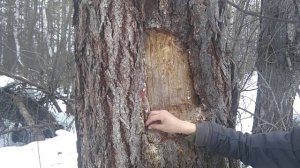 наказ как мы собираем серу