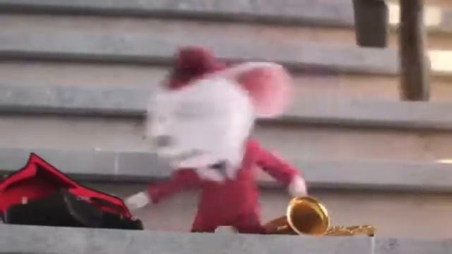 Танец всё животныйе смотреть онлайн