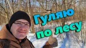 Астрохроники №3. Гуляю по почти весеннему лесу.