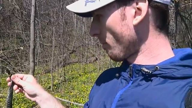 Змей горыныч 25.04.15 (ч.6) смотреть онлайн