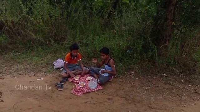 anaconda snake 4 in real life hd video смотреть онлайн