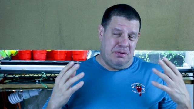 When To Water Basil - Italian Basil Watering Tips смотреть онлайн