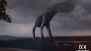 песня про день 17