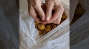 Как легко очистить молодой картофель. Очистка картофеля солью.