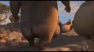 Мото-мото   Люблю больших