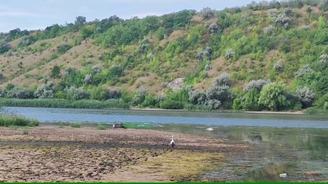 Попенки.Днестр, утро, аист. смотреть онлайн