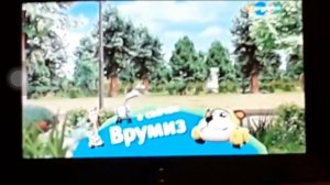 Плашка врумиз карусель