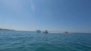 На САПах с дельфином в Адлере/on SUPs with a dolphin in Adler