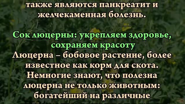 ЛЮЦЕРНА ИСЦЕЛЯЮЩАЯ СИЛА ПРИРОДЫ смотреть онлайн