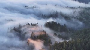 Seven Lions, Wooli & Trivecta feat. JIM - Light In The Dark (REAPER Remix)