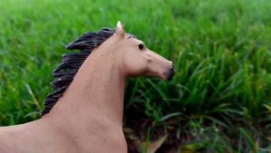 Лошади шляйх играют в прятки