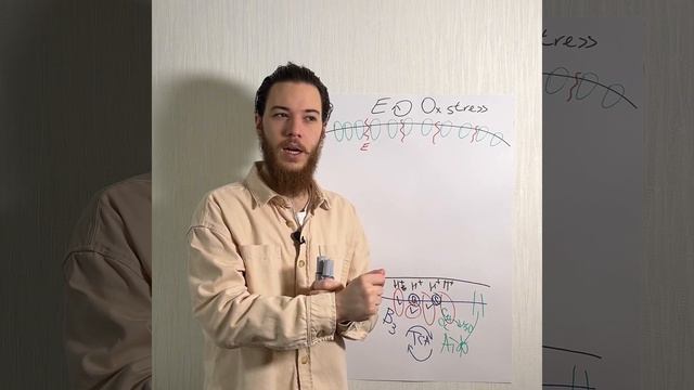 Энергетический обмен окислительного стресса смотреть онлайн