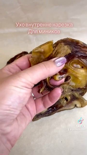 Лакомства для собак ДОМАШНИЙ РЕЦЕПТ внутреннее ухо говяжье