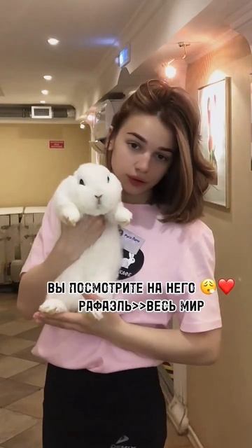 а какое твое тотемное животное? #зайкафе #зоопарк #кролик #кафесживотными #антикафемосква
