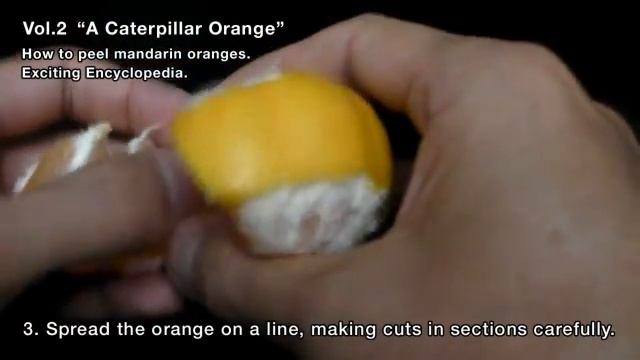 How to peel mandarin oranges. Vol.2 A Caterpillar Orange смотреть онлайн