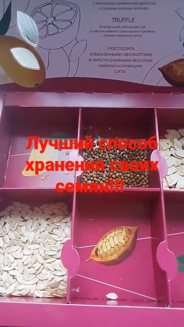 ЛУЧШИЙ СПОСОБ ХРАНЕНИЯ СЕМЯН!!! 🍎🍅🌱 смотреть онлайн