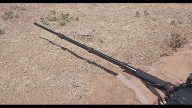 Shooting Bison without a Gun | Fuji X-T3 with XF 100-400mm, Eterna Simulation | смотреть онлайн