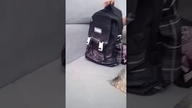 обзор на ночной рюкзак комплект🤟💗🥺 У моей подруги смотреть онлайн