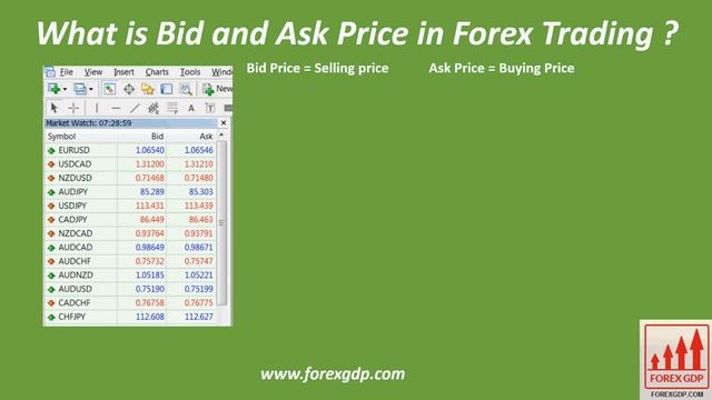 Forex Trading for Beginners