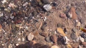 [ASMR] CAMERA TAPPING  || RIVERSIDE OUTDOORS 🌊 ||  edafoxx ASMR ♡