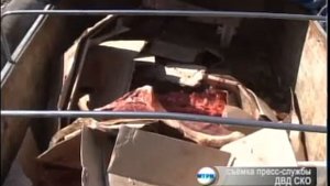 Всего за один день полицейские региона раскрыли три факта кражи скота