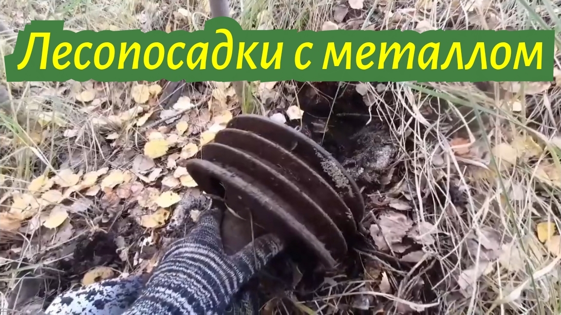 Добиваю железное место металлокоп в лесопосадке