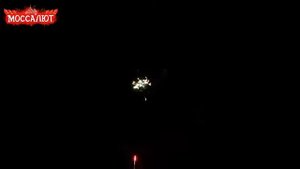 Батарея салютов Золотой Лев (Фейерверк 49 залпов) арт. CL 020