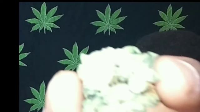 Yocan iShred Review..Las Vegas Thrive смотреть онлайн