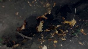 куда мы пропали на 3 года и как построить гараж за 100 рублей.