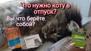 Ураа!!! Скоро отпуск. Что Вы берёте собой в  дорогу? Что необходимо нам!