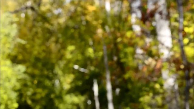 Angels Symphony 2 смотреть онлайн