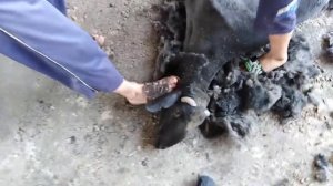 BITTA QO'YDAN 10000 SO'M FOYDA QO'Y JUNGINI OLISH