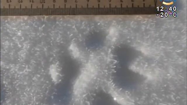 Забайкальская «Чупакабра» смотреть онлайн