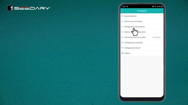 06  iCSee - Entendiendo el menú de configuración