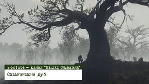 Сатанинский дуб | Хроника необъяснимого | подкаст