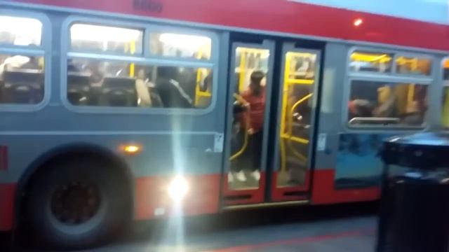 SF Muni 2016 New Flyer XDE40 #8800 on Route 44, 2007 Orion VII #8416 on Route 7X смотреть онлайн