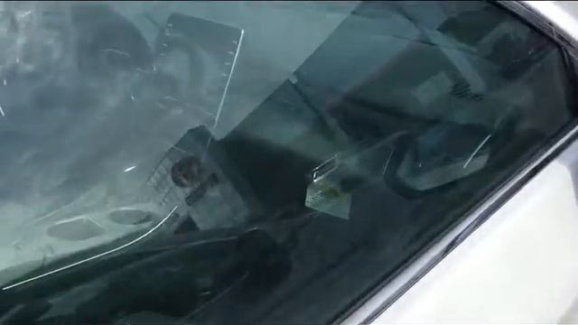 For Tara from Jim смотреть онлайн