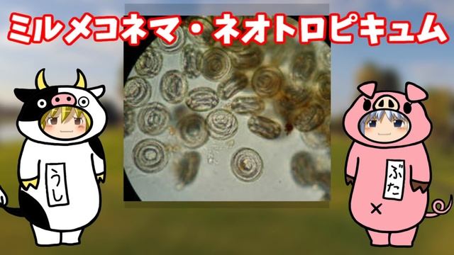 【おもしろゆっくり】生き残りをかけた戦略、魅惑の寄生生物特集！その②