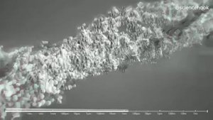 Состав волоса, строение волоса, волос под микроскопом