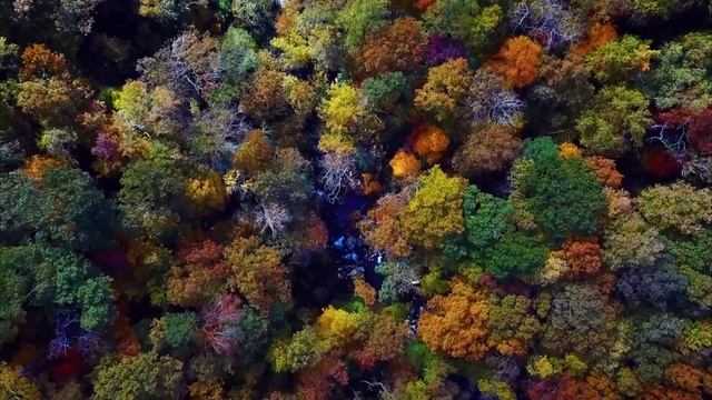 Renovation_mood video смотреть онлайн