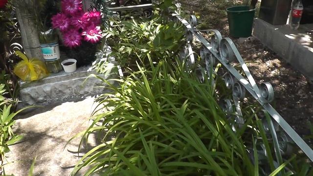 Баба Дєда смотреть онлайн