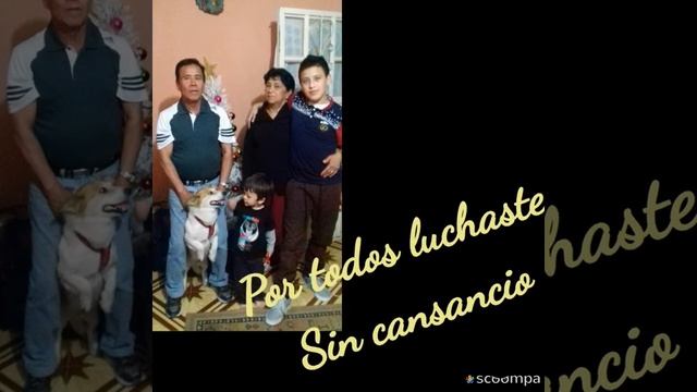 Madre mia Oliva Mora смотреть онлайн