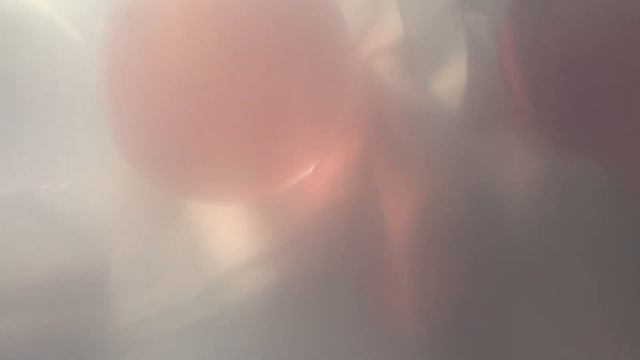 ASMR PDA agar pour #mycology #asmr #agar #mentalhealth смотреть онлайн